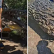 Na priljubljeni hrvaški plaži velikanski bor padel na kopalce
