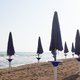 Strupena morska žival zapira evropske plaže: Bi lahko dosegla tudi Jadran?