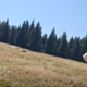 Zaradi tega videa so znanega Slovenca napadali, a ga ni umaknil